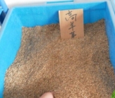 煙臺(tái)糊料的應(yīng)用領(lǐng)域